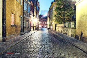 柏林中国文化中心举办诗歌诵读会《春天吞噬了冬天》,柏林中国文化中心举办诗歌诵读会《春天吞噬了冬天》