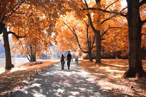 柏林中国文化中心举办诗歌诵读会《春天吞噬了冬天》,柏林中国文化中心举办诗歌诵读会《春天吞噬了冬天》